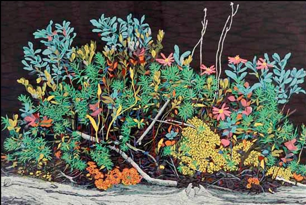 David Peter Hunsberger - New Growth at Bentshore Lake (02035/2013-976)