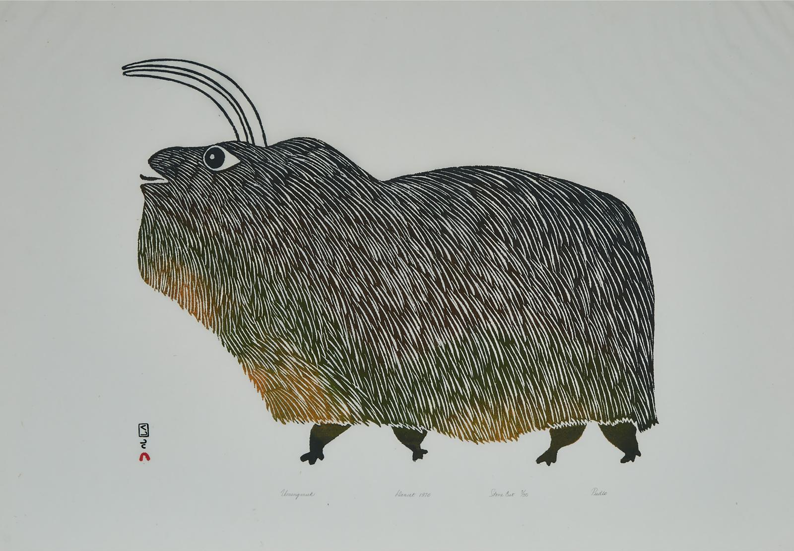 Pudlo Pudlat (1916-1992) - Umingmuk