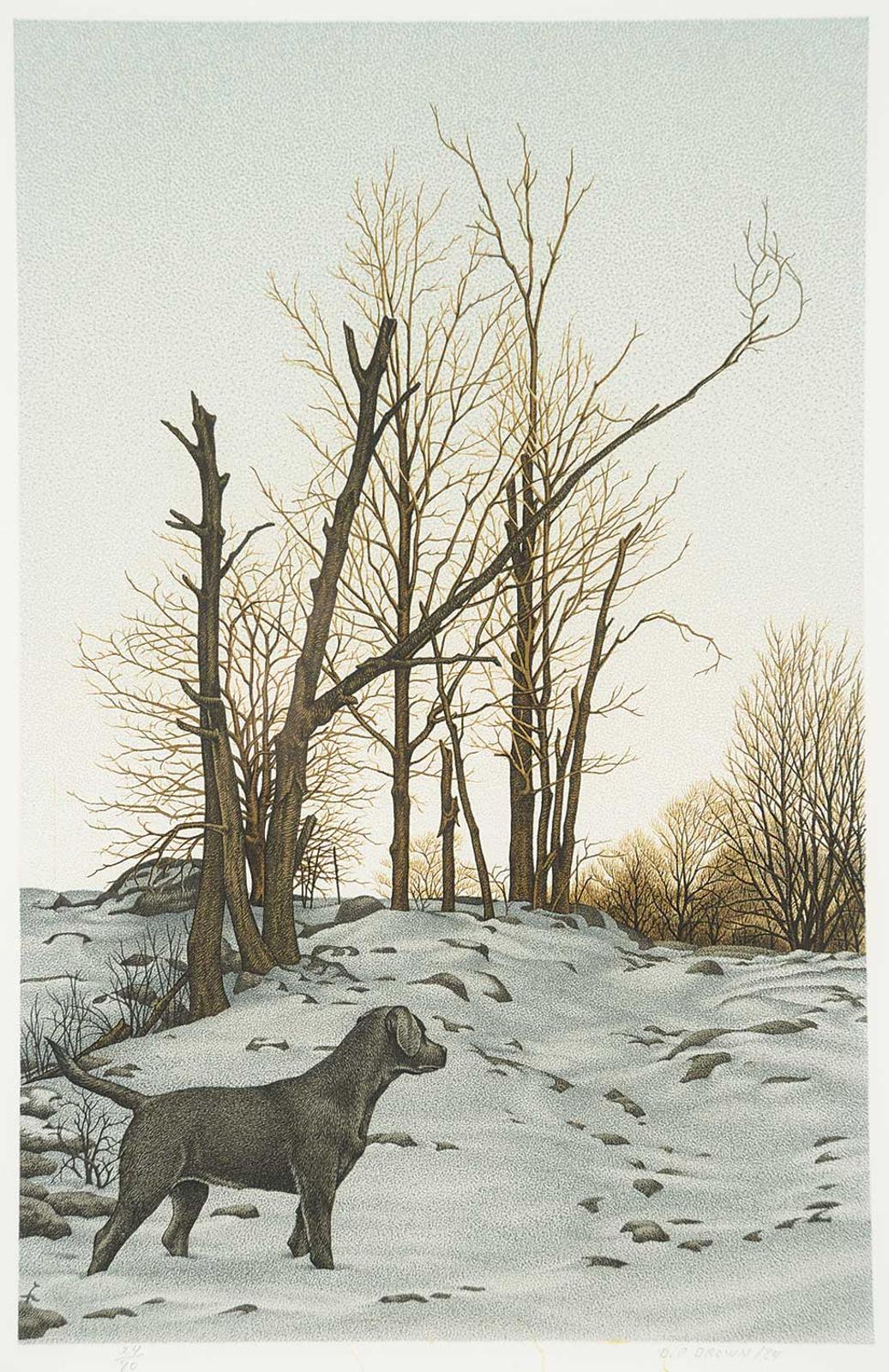 Daniel Price (D.P.) Erichsen Brown (1939) - Untitled - Black Lab in Winter #24/80