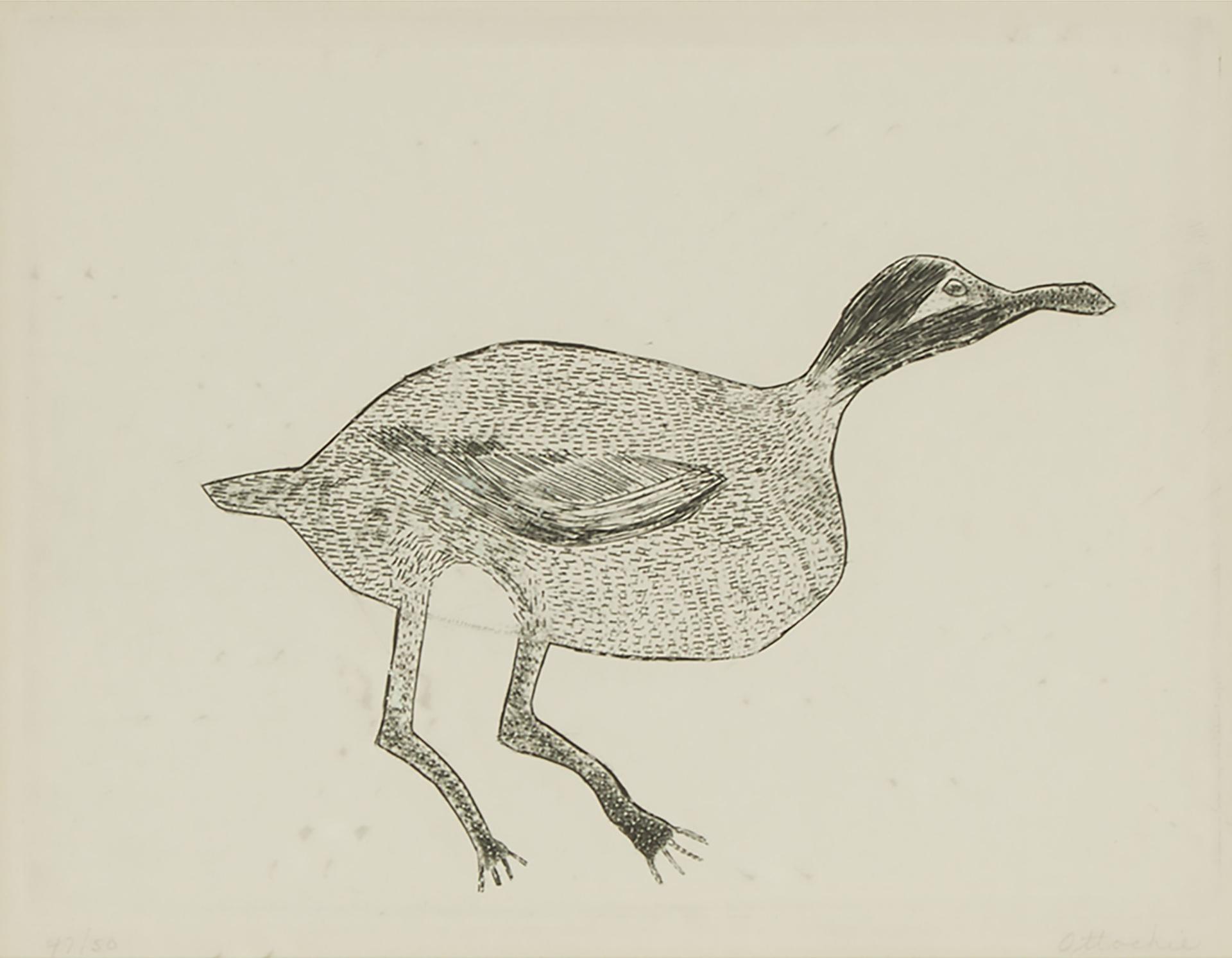 Timothy Ottochie (1904-1982) - Untitled (Duck)