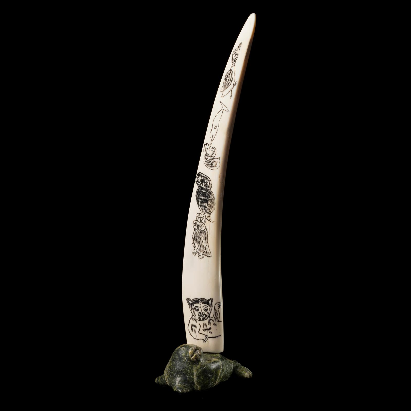 Aqjangajuk (Axangayu) Shaa (1937-2019) - Scrimshaw Composition