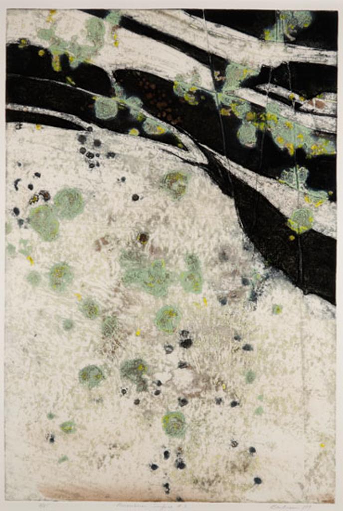 Edward John (Ted) Bartram (1938-2019) - Precambiran Surface #3 (3603)