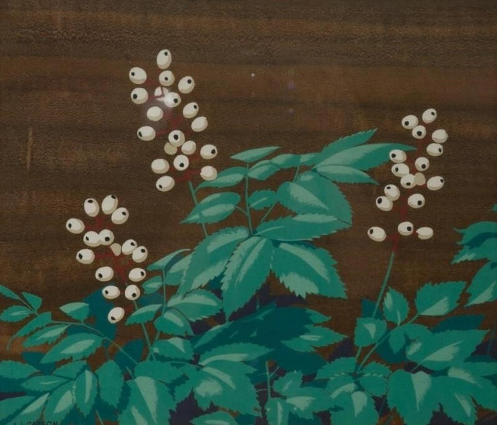 A.J. Casson (1898-1992) - White Baneberry