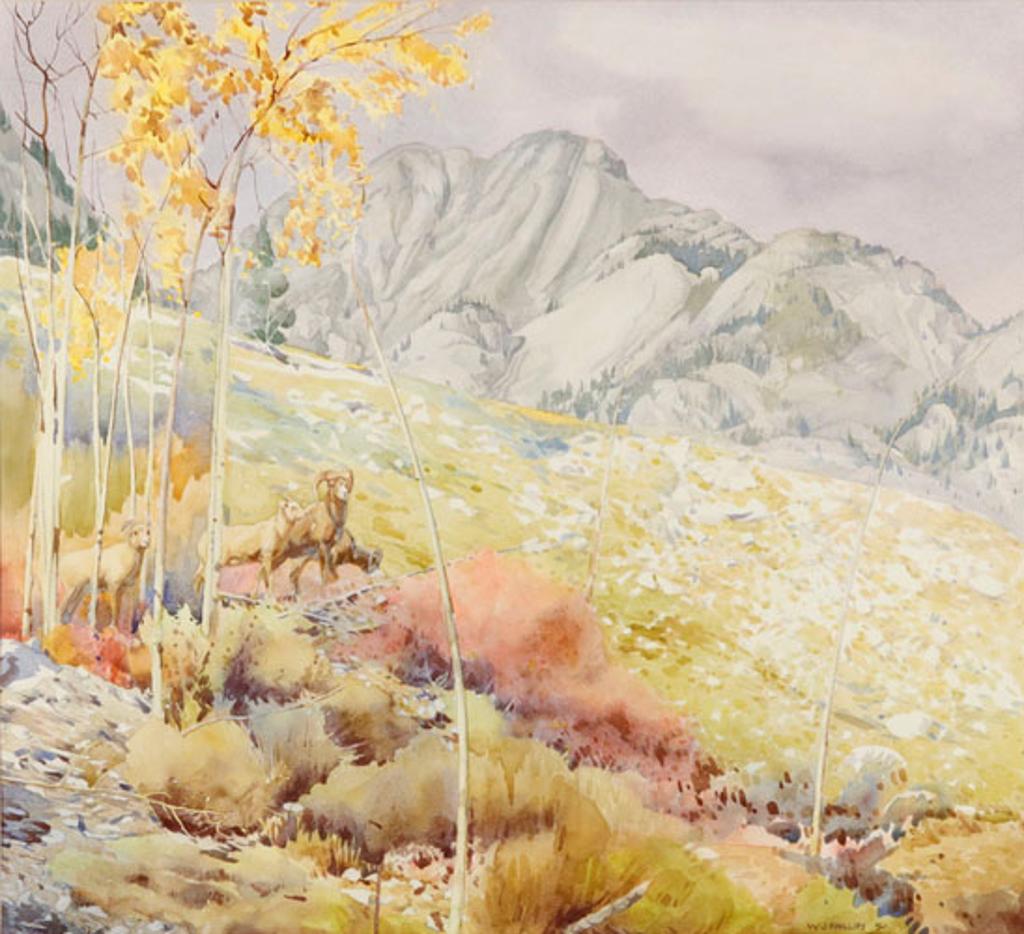 Walter Joseph (W.J.) Phillips (1884-1963) - Mountain Sheep in the Rockies