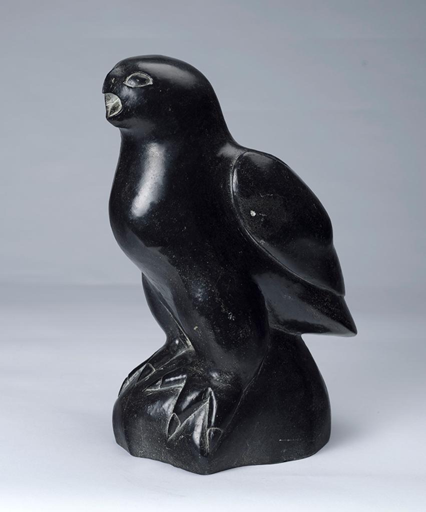 Paulosie Amamatuak Sivuak (1930-1986) - Screeching Hawk