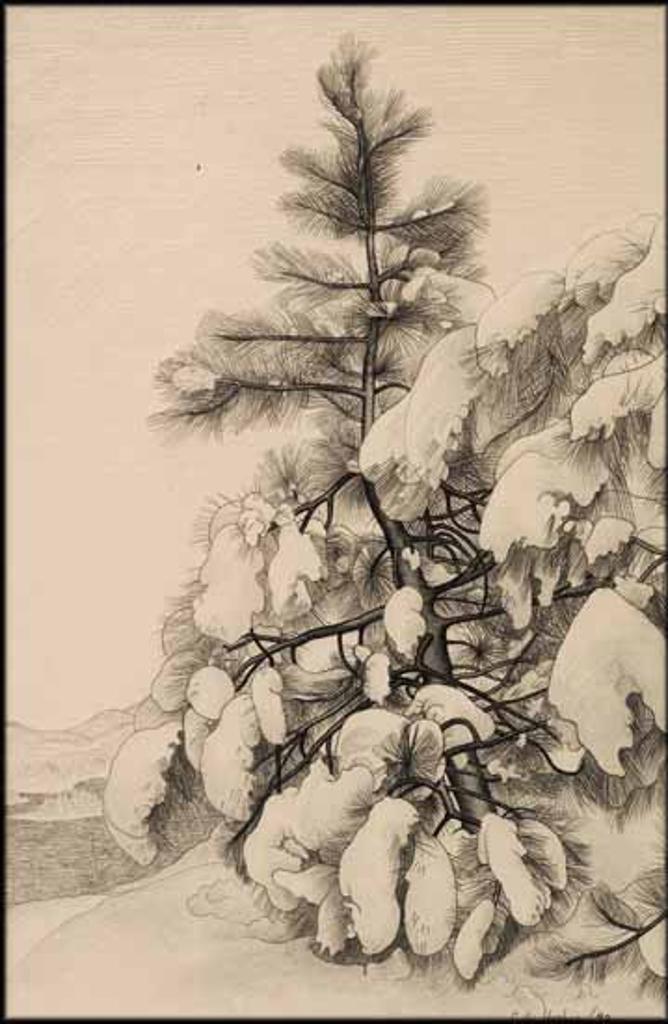 Edward John (E. J.) Hughes (1913-2007) - Jack Pine at Petawawa