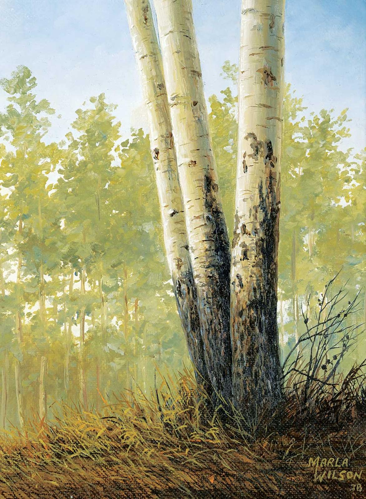 Marla Wilson (1945) - Three Poplars