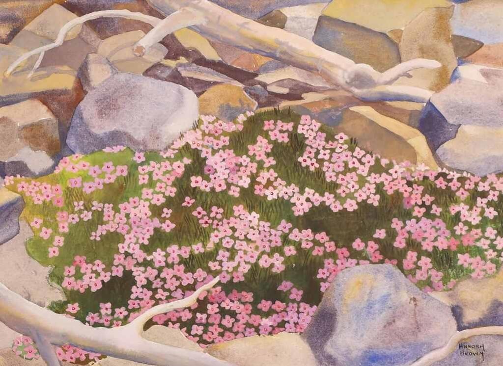 Annora Brown (1899-1987) - Moss Campion