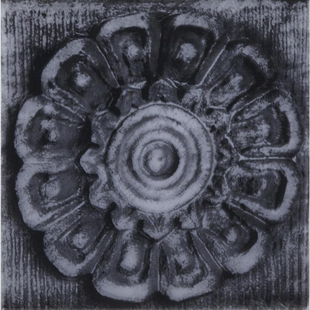 Penelope Stewart - Rosette