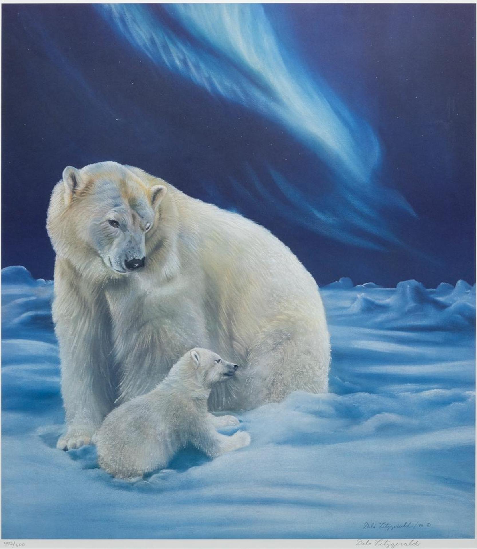 Debi Fitzgerald (1954-2016) - Arctic Evening