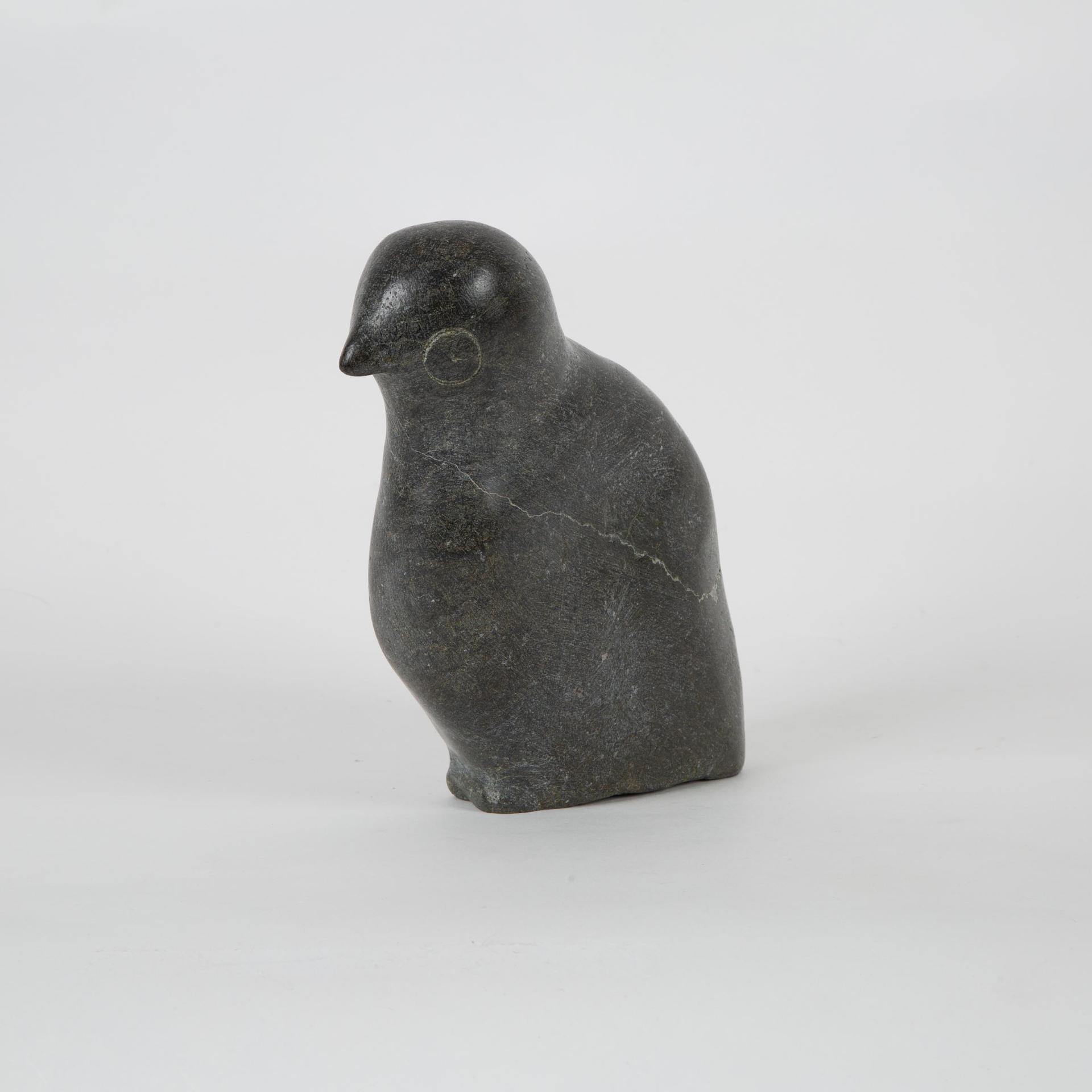 Appolina - Bird