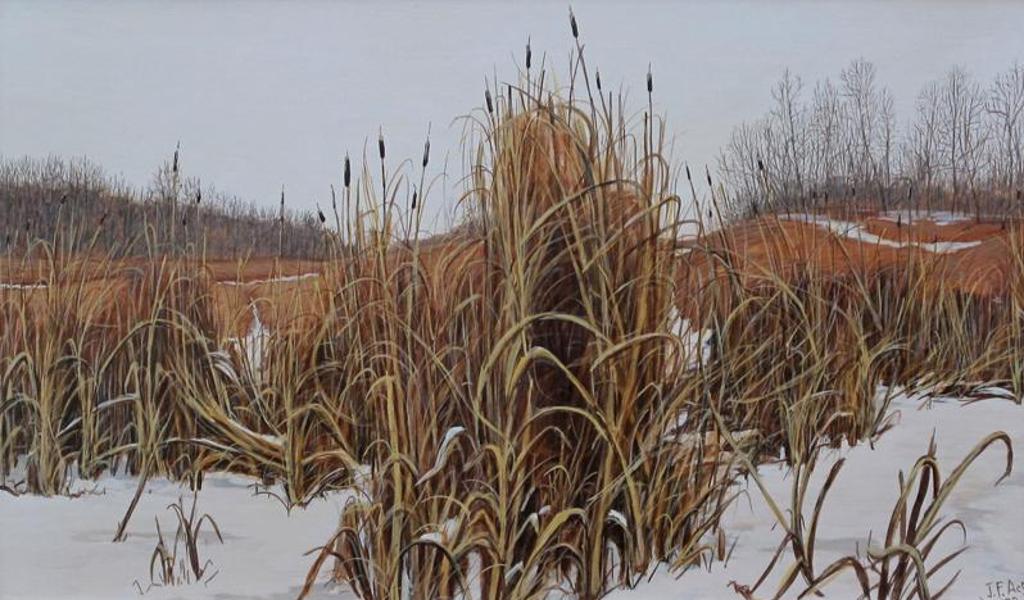 Joseph [Joe] Ferenc Acs (1936) - Bulrushes In November (Highway #14 East, Alta); 1972