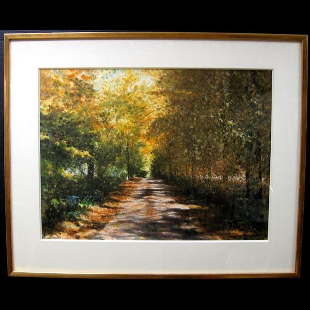 Kenneth - Sunlit Roadway