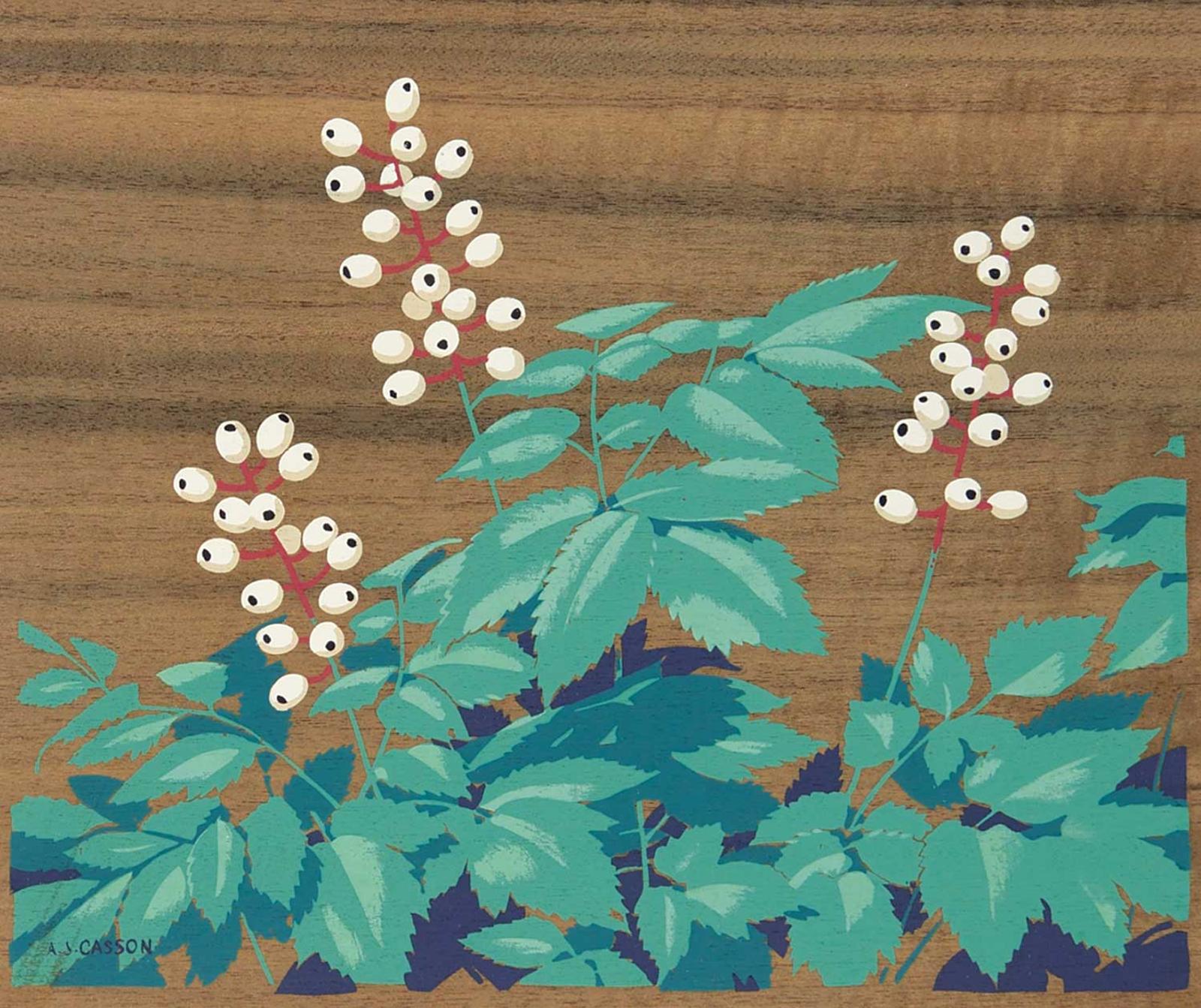 Alfred Joseph (A.J.) Casson (1898-1992) - The White Baneberry