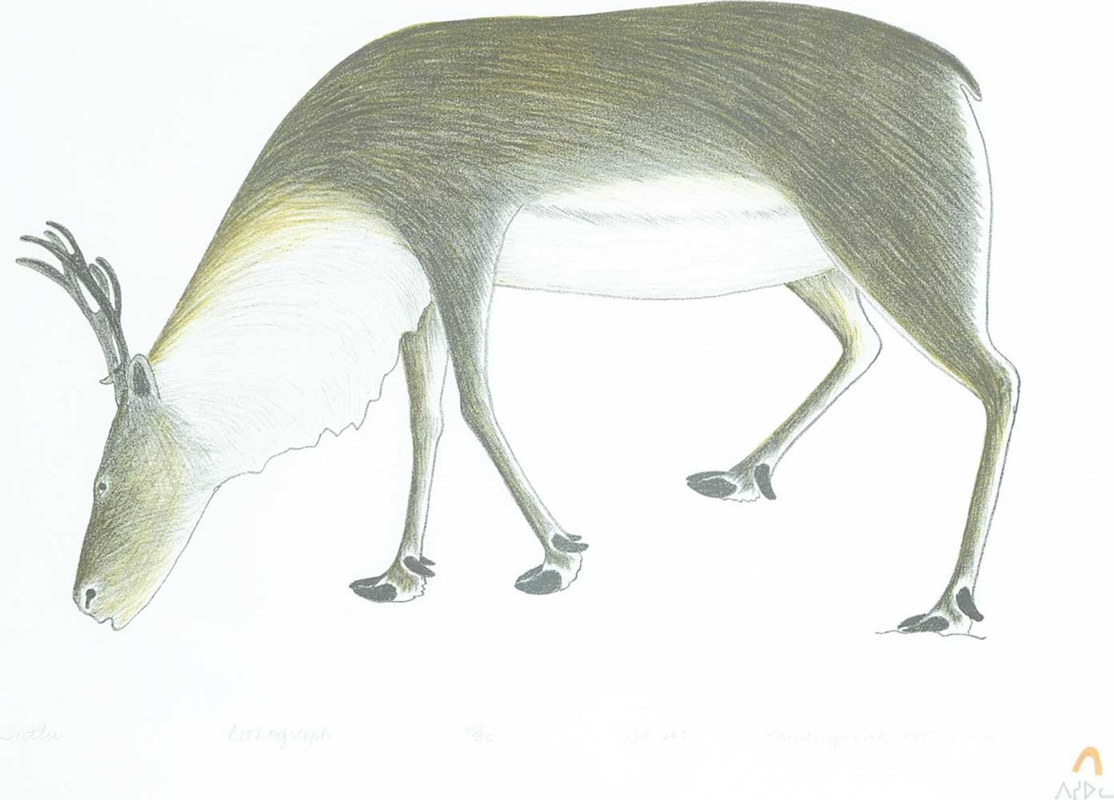 Kananginak Inuit - Tuttu #22/50