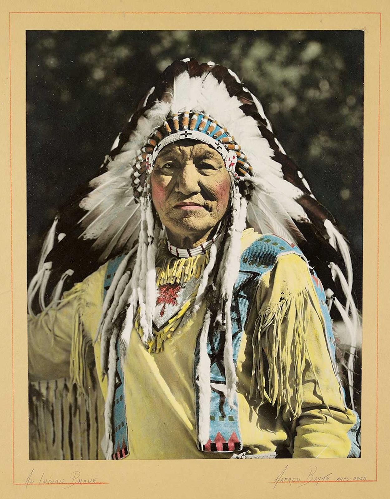 Alfred Blyth - Stoney Squaw