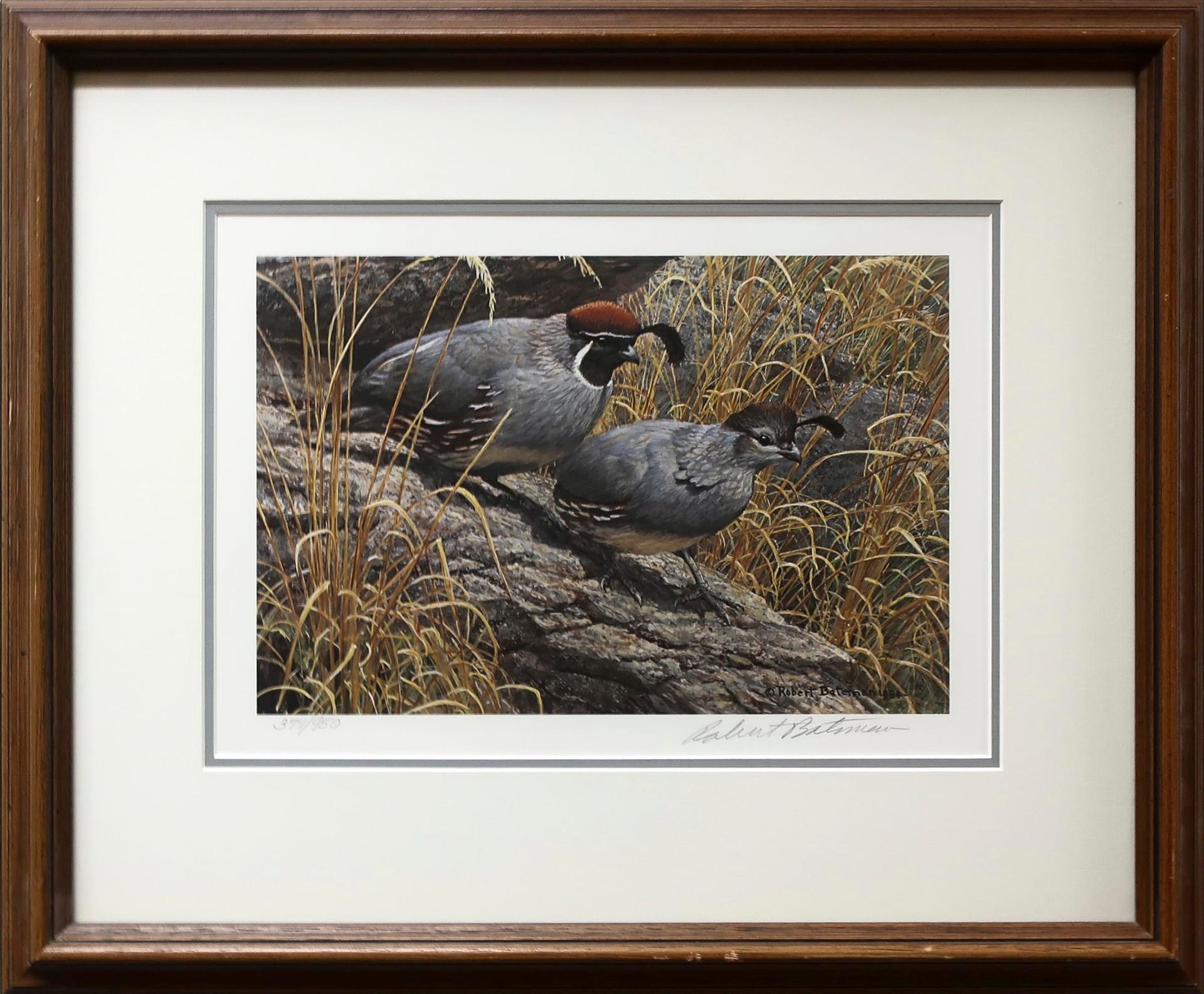 Robert Mclellan Bateman (1930-1922) - Gambel's Quail Pair