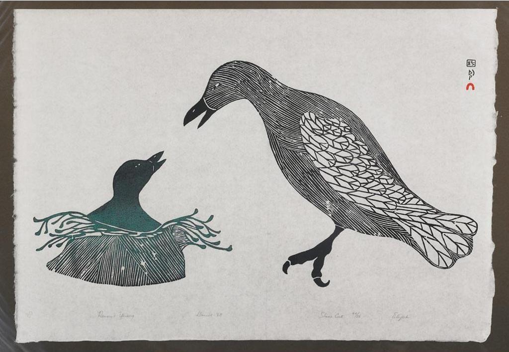 Elijah Pootoogook (1943) - Raven And Young
