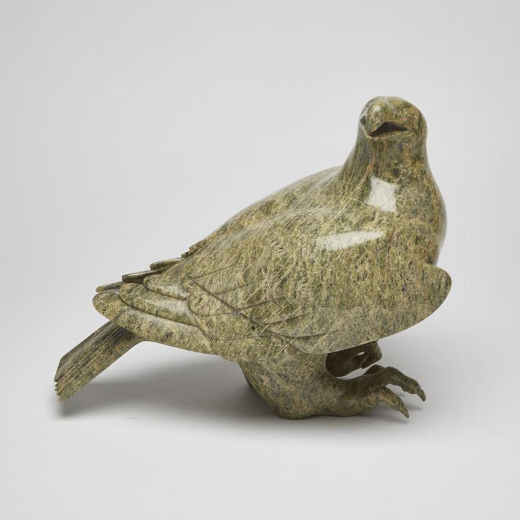 Oviloo Tunnillie (1949-2014) - Falcon