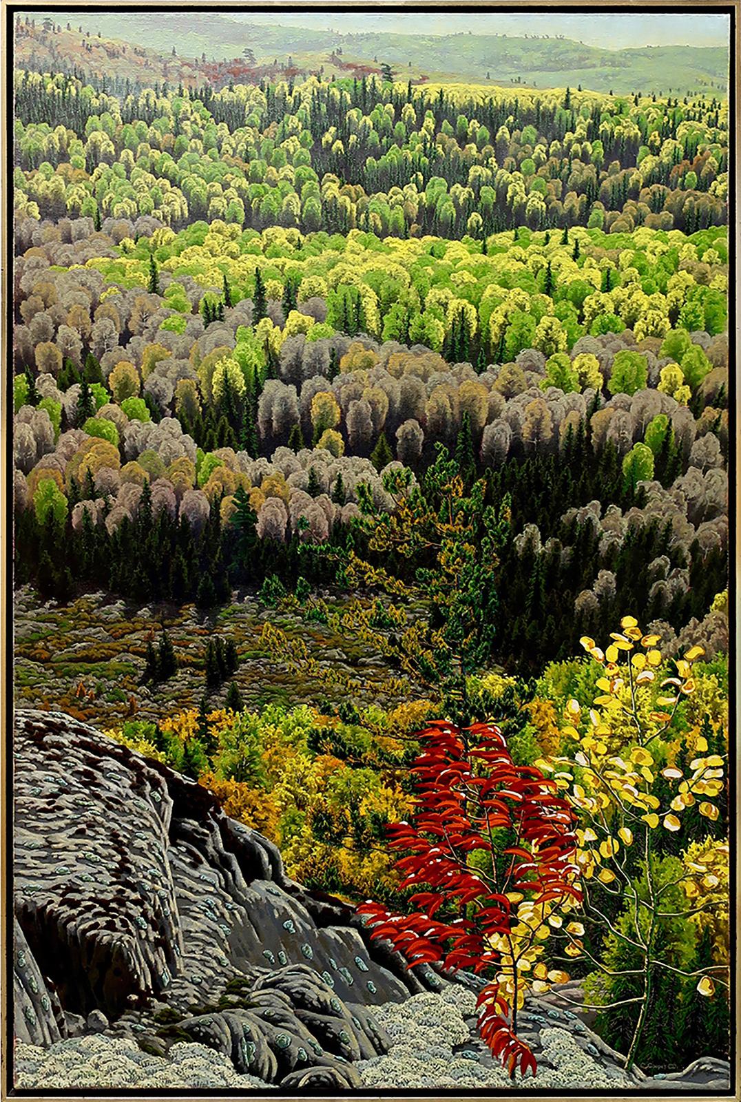 C. Cooper - Untitled (Autumn Canopy)
