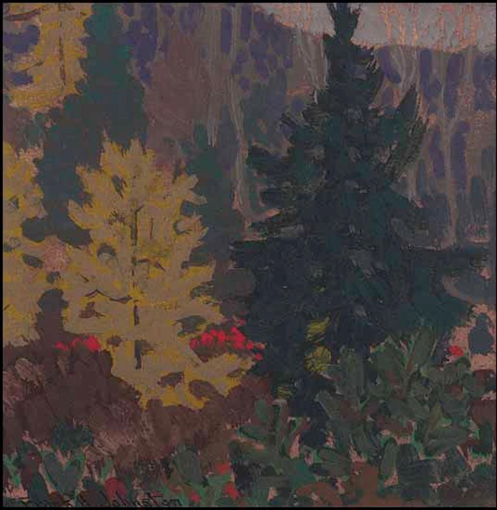 Frank (Franz) Hans Johnston (1888-1949) - Algoma