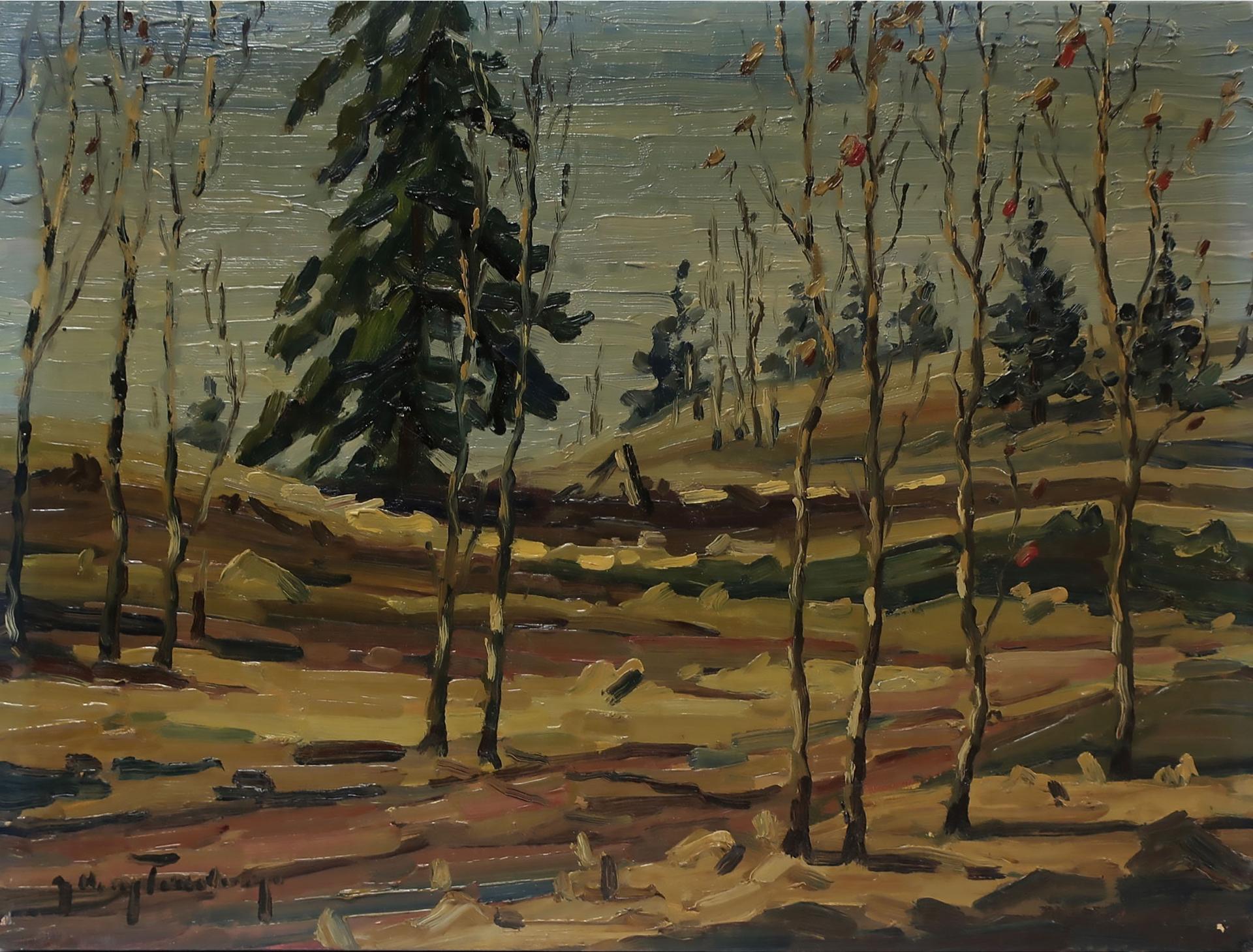 George A. Buytendorp (1923-2014) - Sandhills