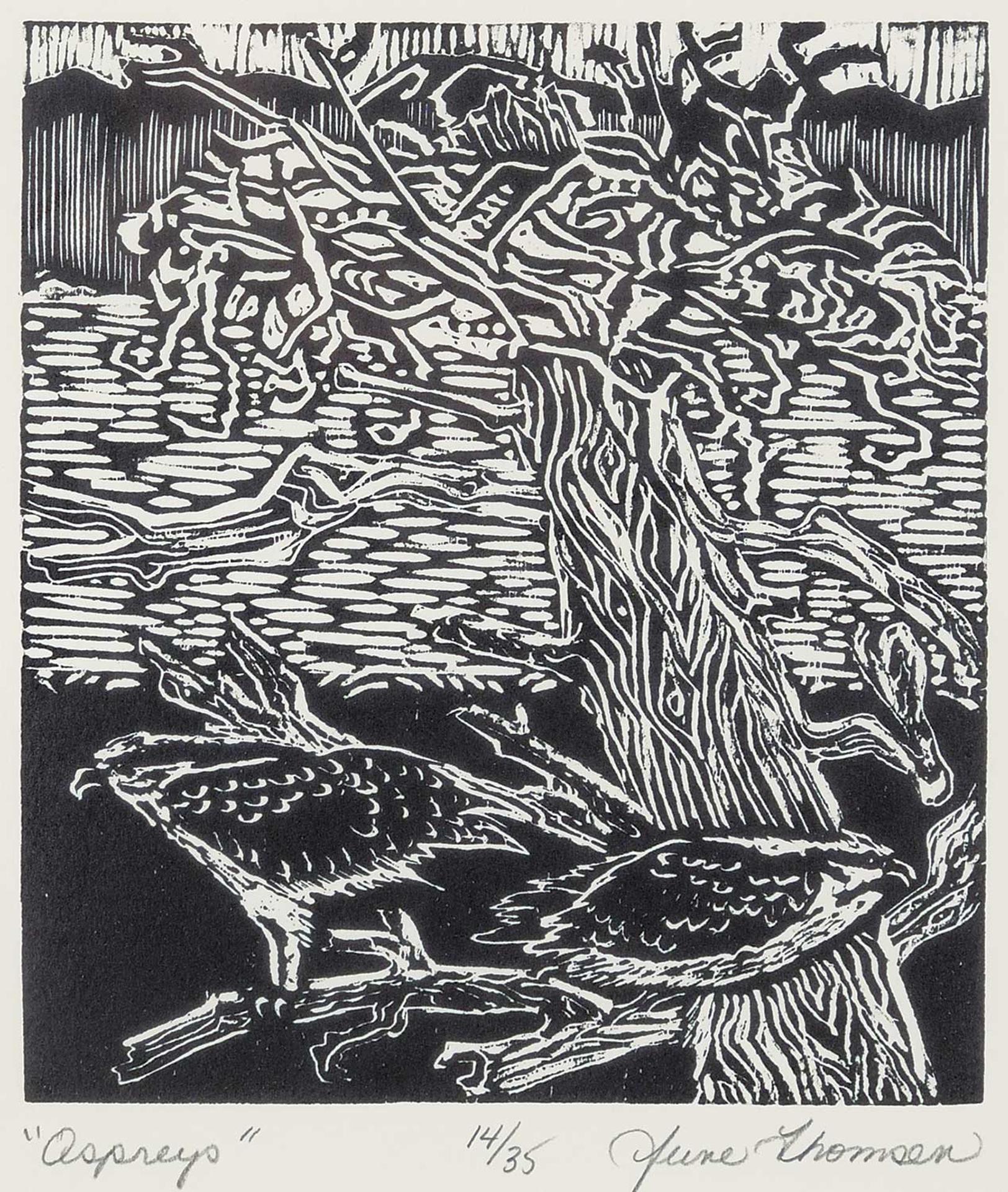 June Thomsen (1959) - Ospreys  #14/35