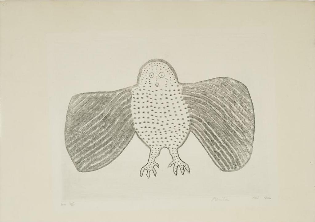 Pauta Saila (1916-2009) - Owl