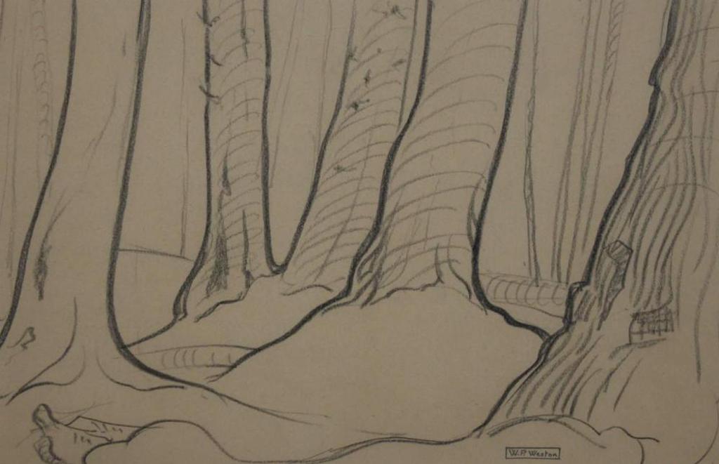 William Percival (W.P.) Weston (1879-1967) - Cedar Grove