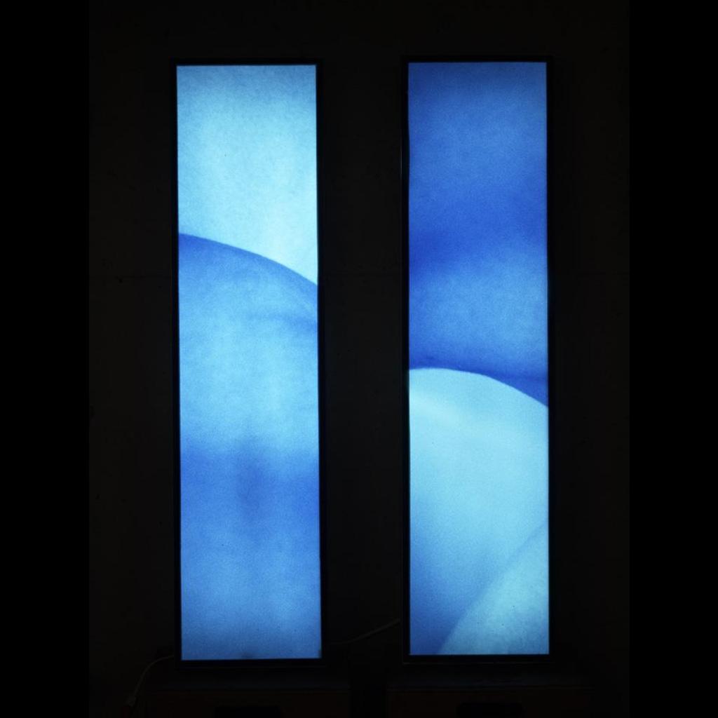 Annette Larsson - Pleasure Vision Iii