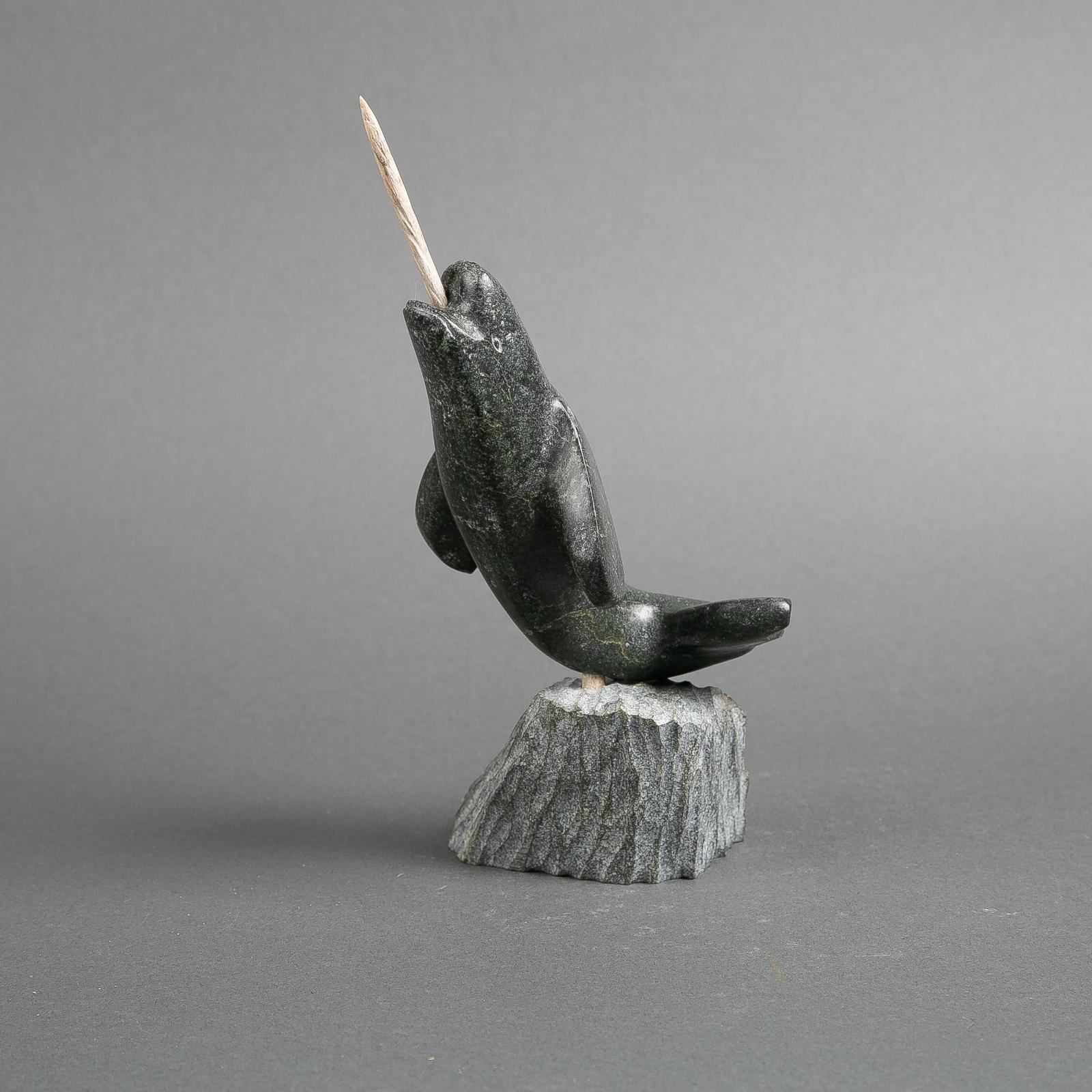 Pootoogook Ashevak - Narwhal