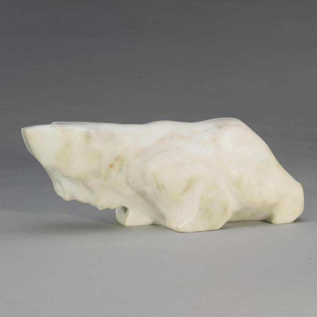Akc - Drenched Polar Bear