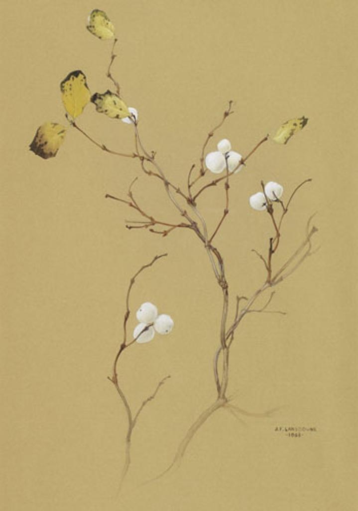 James Fenwick Lansdowne (1937-2008) - Branches with Berries