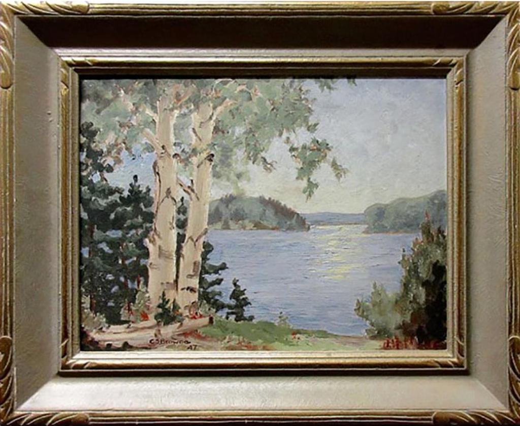 C.S. Browne - Lake Study