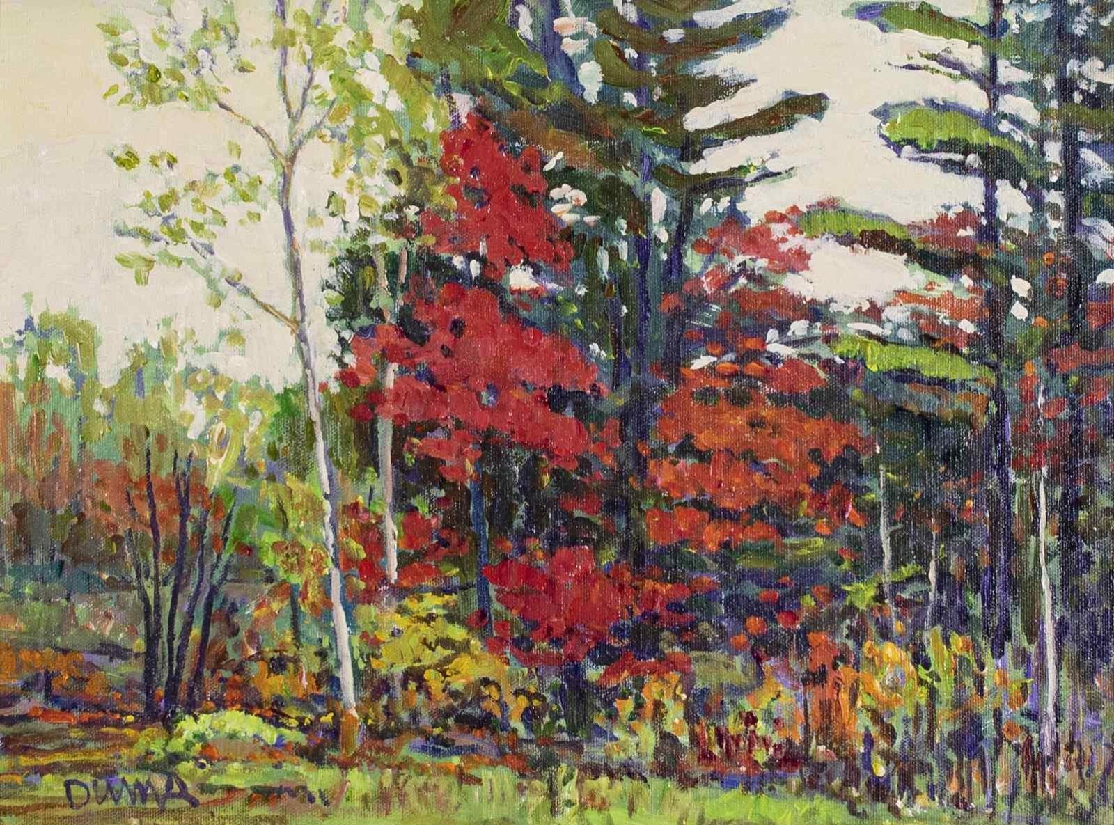 William (Bill) Duma (1936) - Touches Of Red