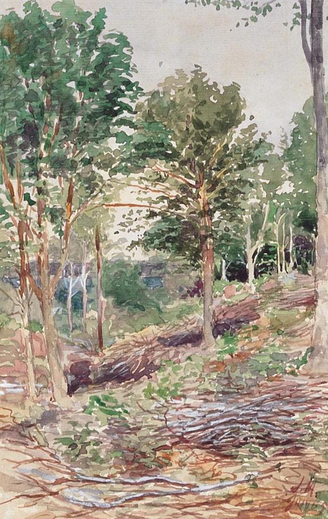 James Edward Hervey (J.E.H.) MacDonald (1873-1932) - Woodland Scene