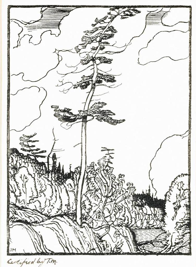 James Edward Hervey (J.E.H.) MacDonald (1873-1932) - Rocks And Pine