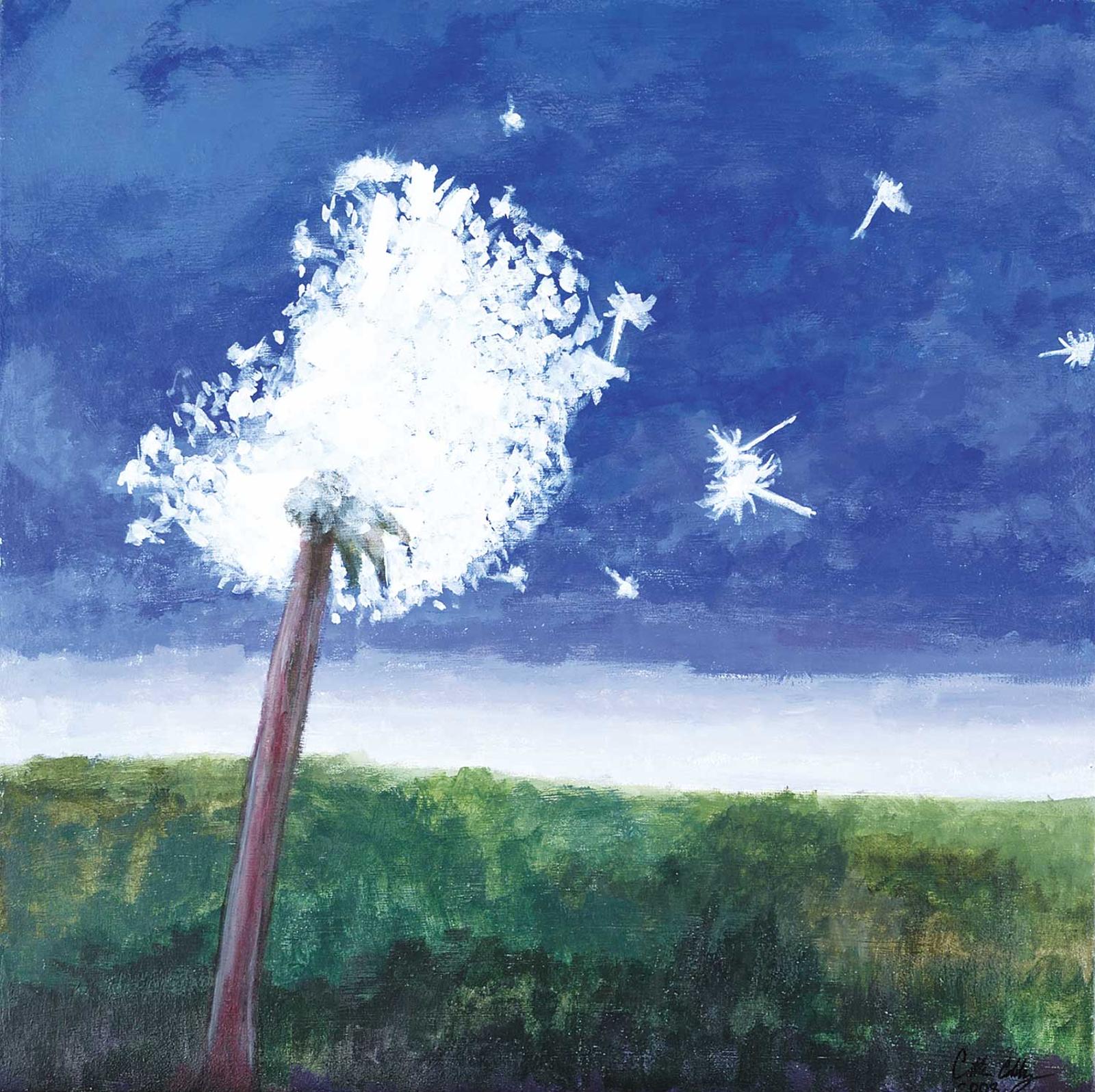 Caitlin Eddy - Untitled - Dandelion