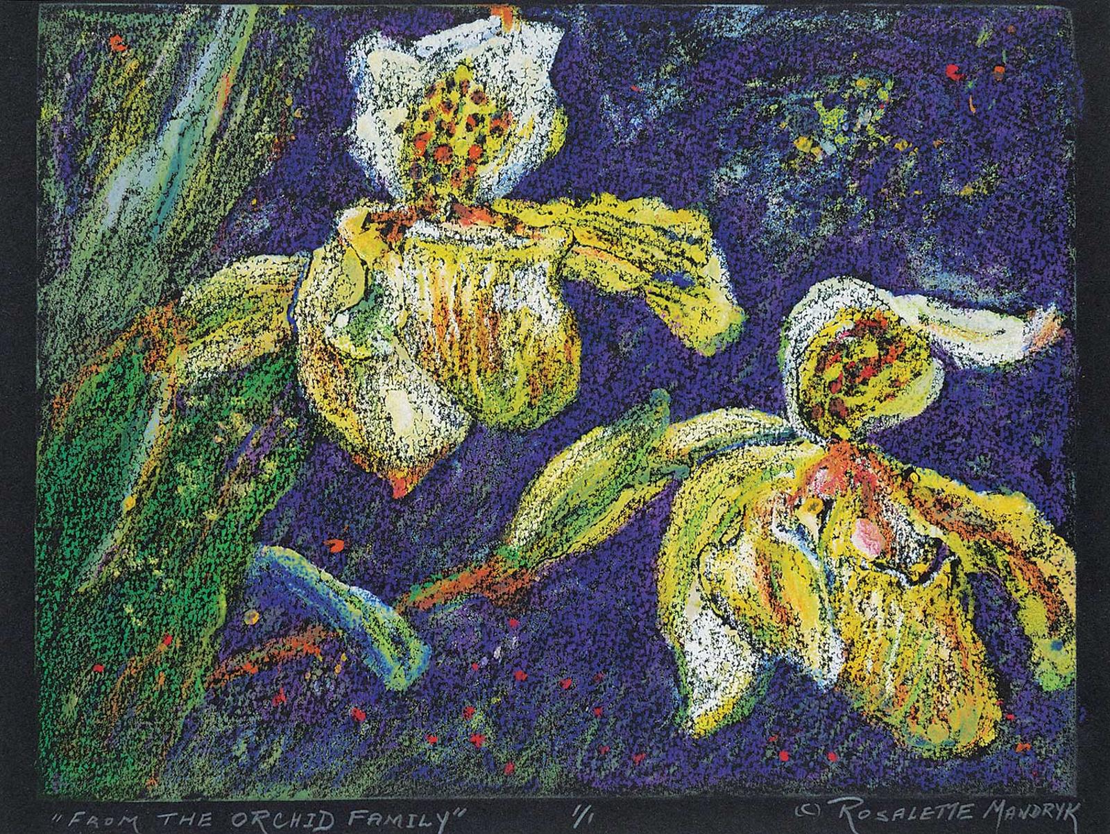 Rosalette Mandryk - For the Orchid Family #1/1