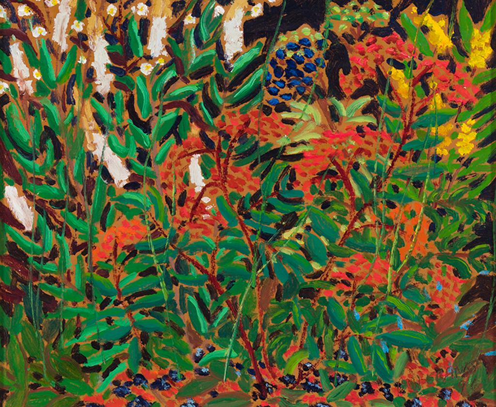 Bill Franks - Wildflowers