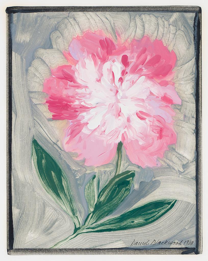 David Lloyd Blackwood (1941-2022) - Paeonie