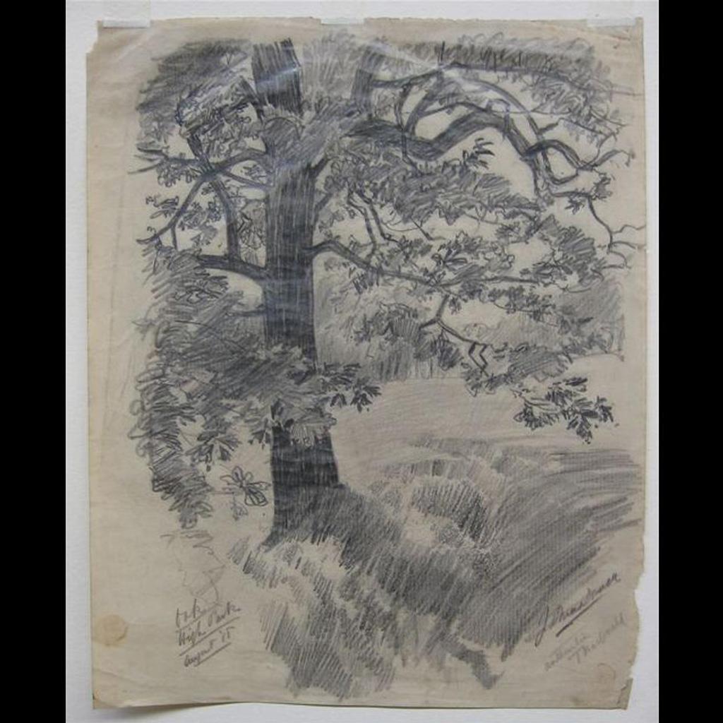 James Edward Hervey (J.E.H.) MacDonald (1873-1932) - Oak - High Park - Aug ‘15