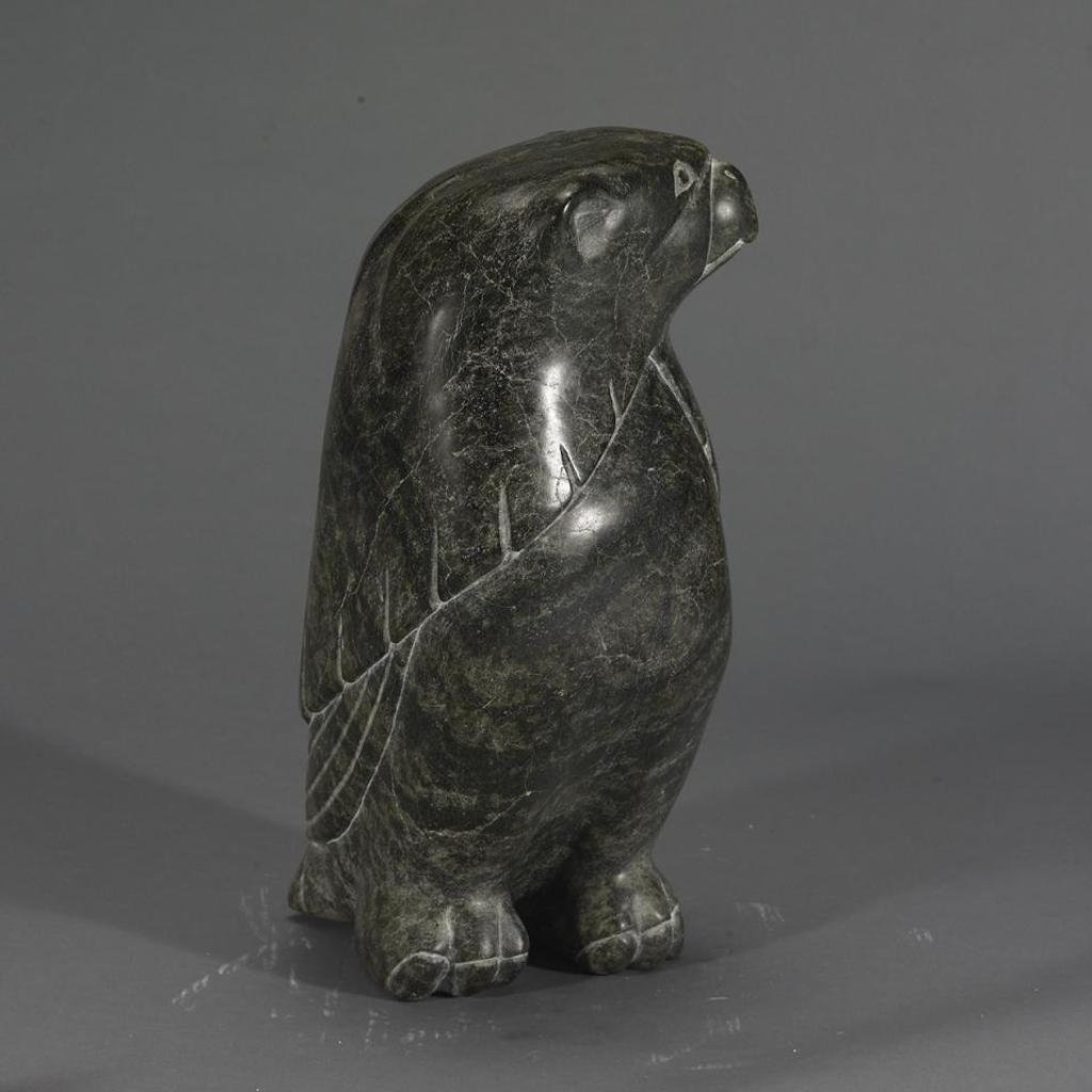 Kaka Ashoona (1928-1996) - Falcon