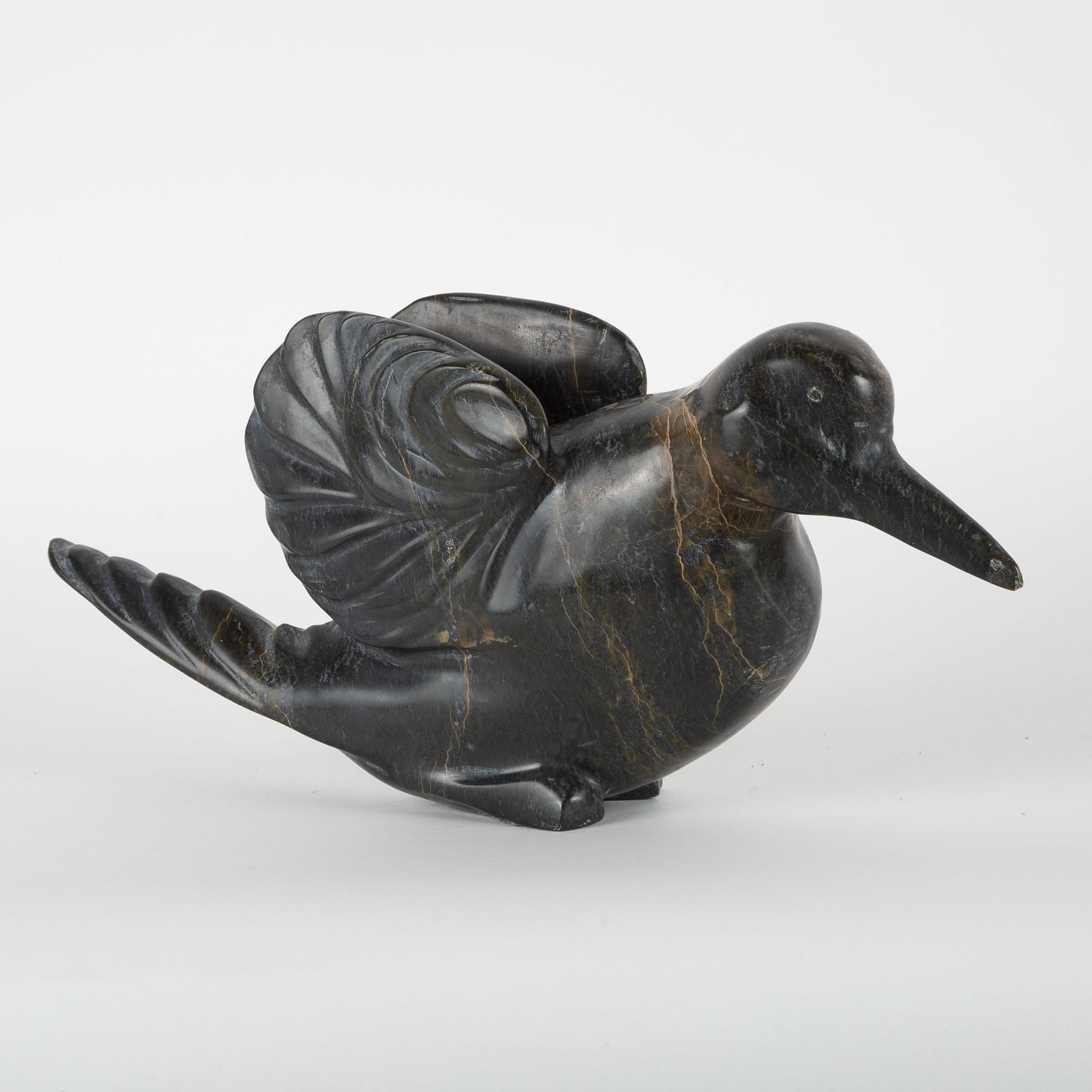 Kooyoo Pootoogook - Bird