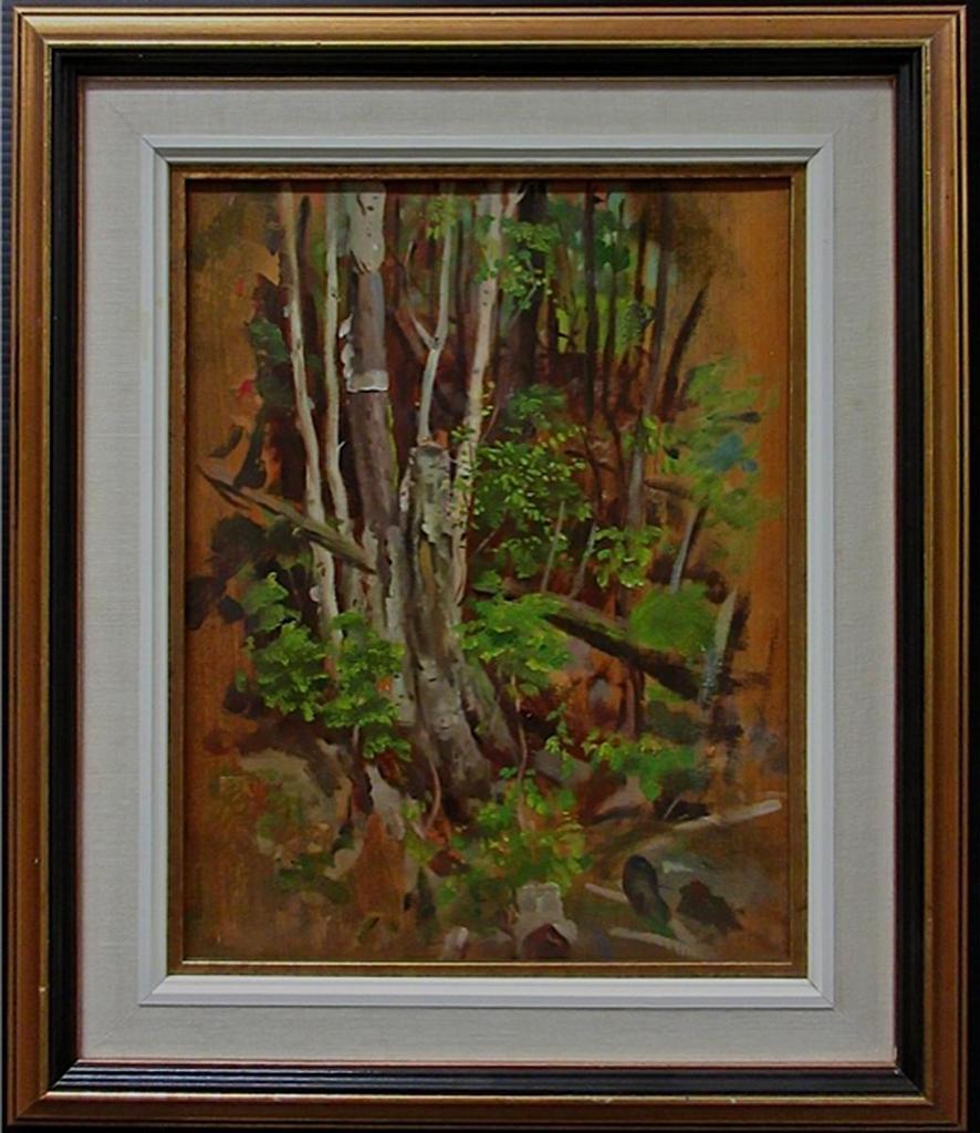 John Colin Forbes (1846-1925) - Woodland Study