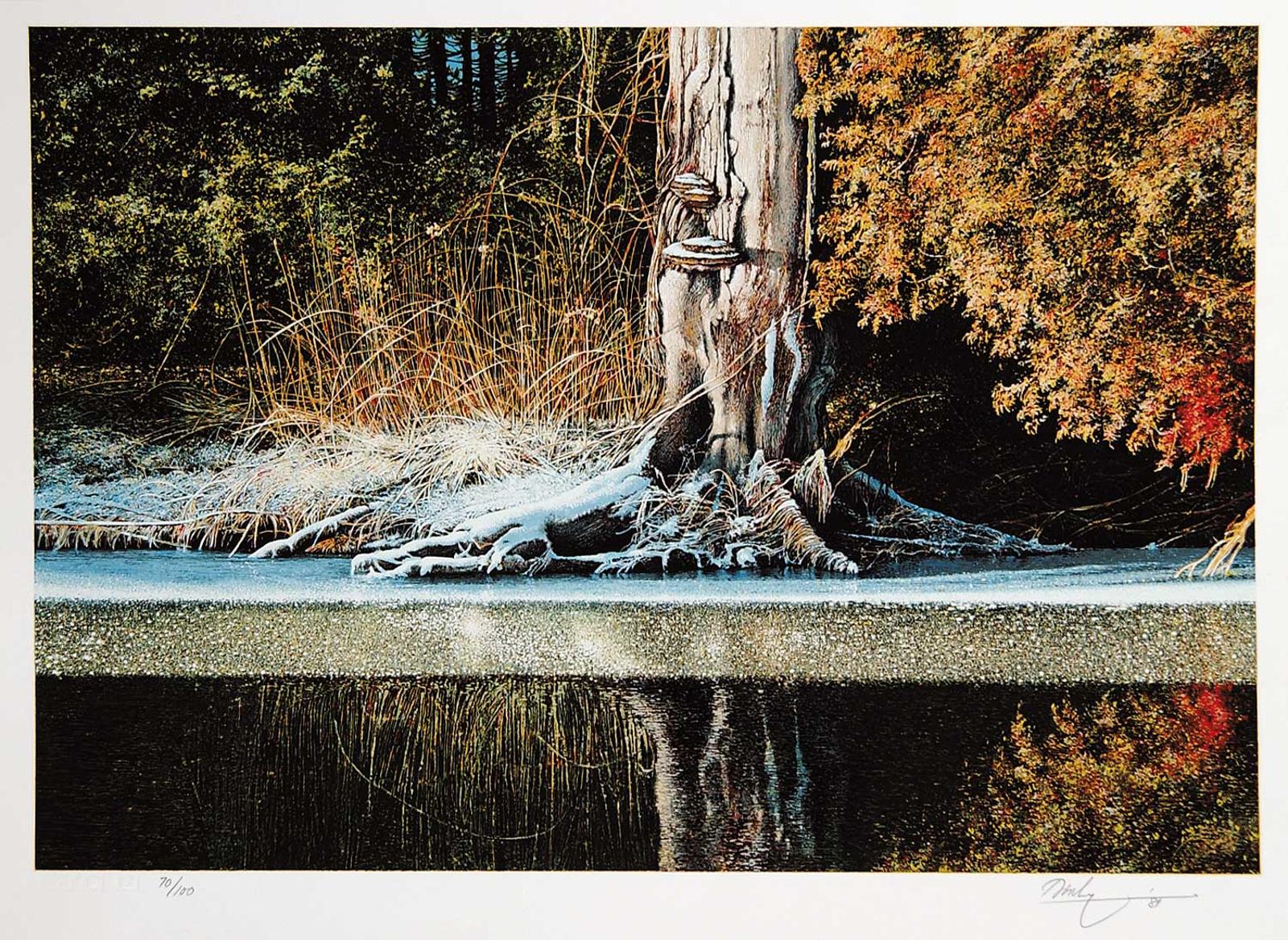 Kenneth (Ken) Edison Danby (1940-2007) - Untitled - Tree with Melting Snow #70/100