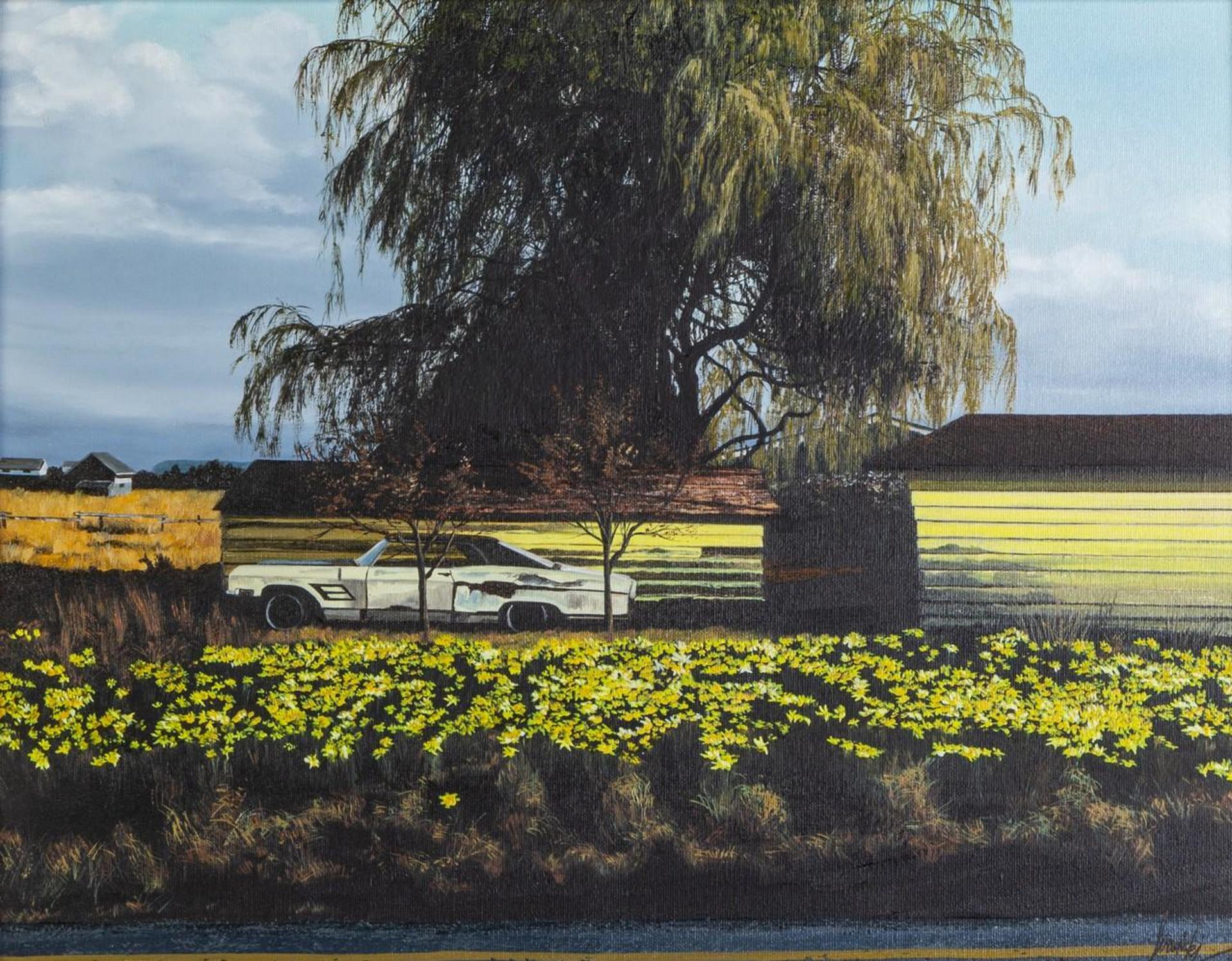 Viginia Ivanicki - Daffodils and Other Yellow