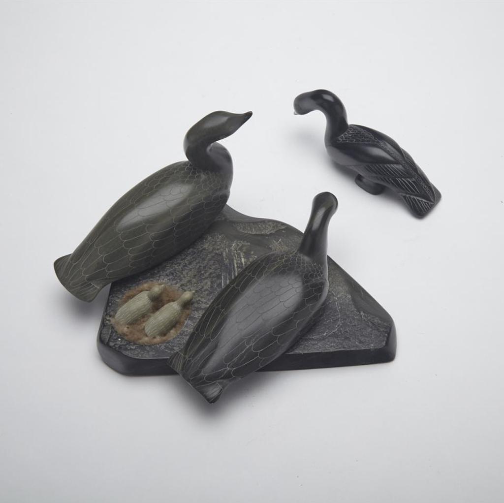 Iqaluq - Loons With Young