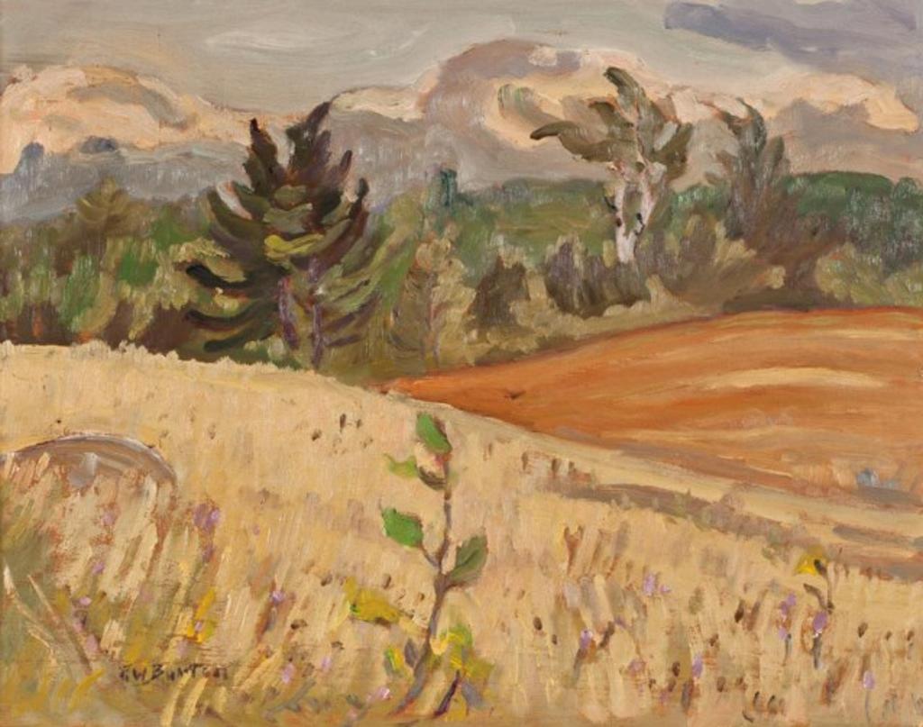 Ralph Wallace Burton (1905-1983) - Hills Near Combermere