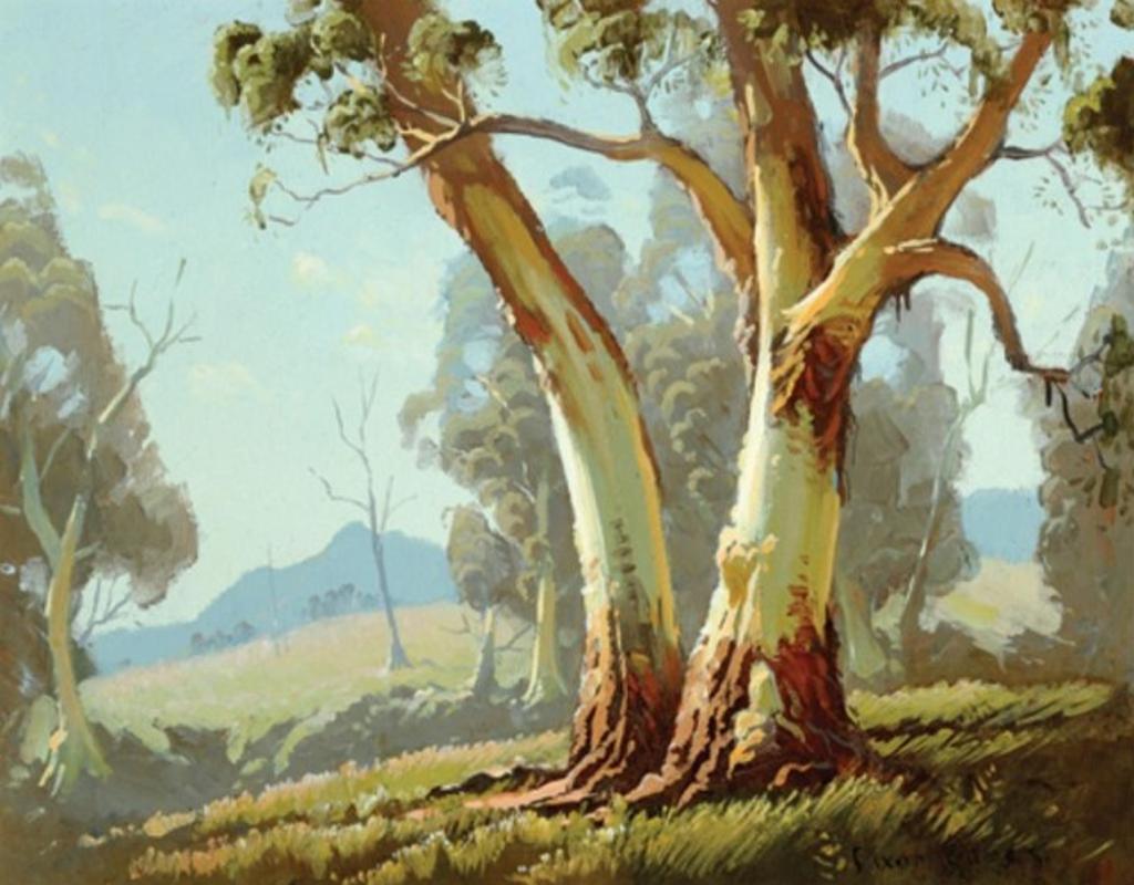 Dixon Copes Australian - Born 1914